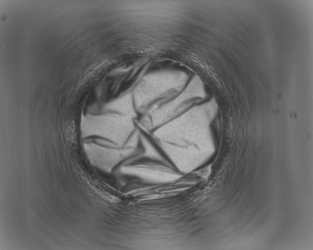 X0000074210689200609151556