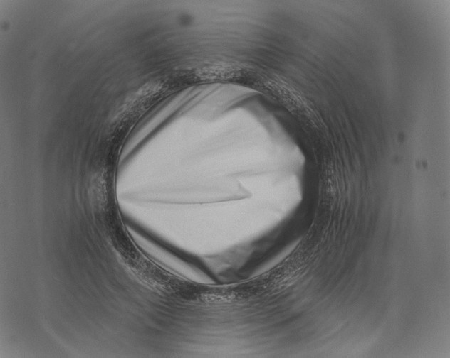 X0000074210690200609151556