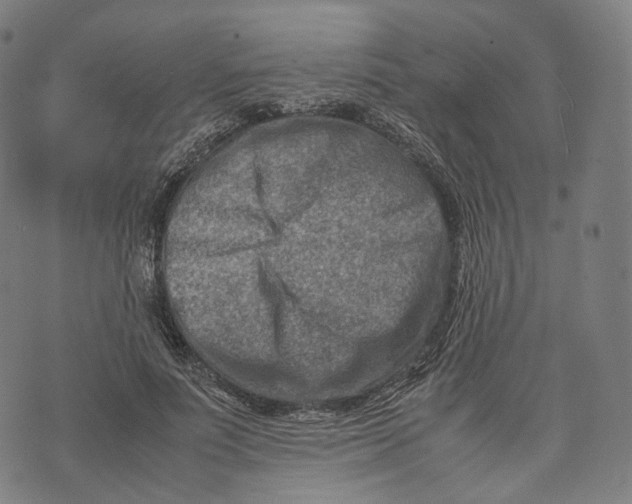 X0000074210691200609151556