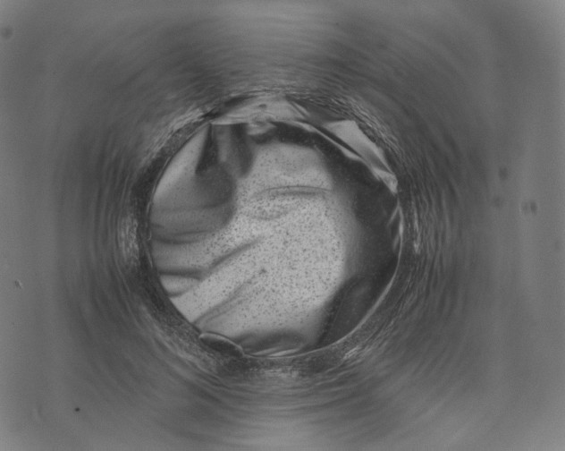 X0000074210692200609151556