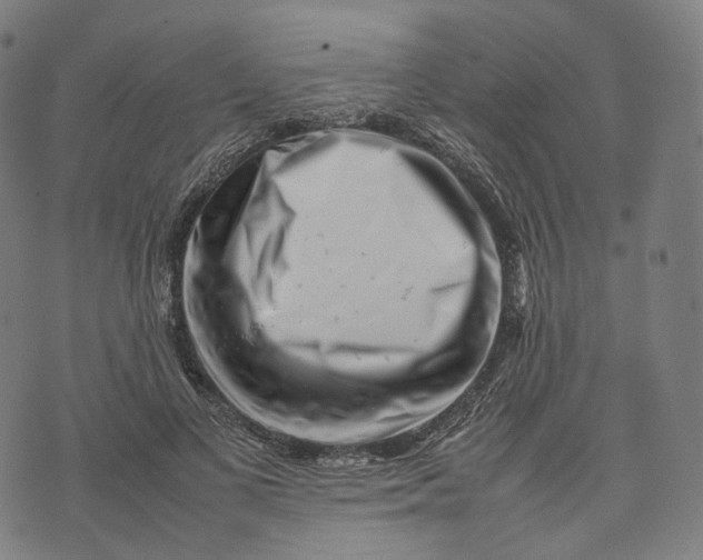 X0000074210693200609151556