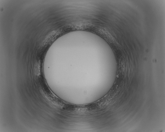 X0000074210694200609151556