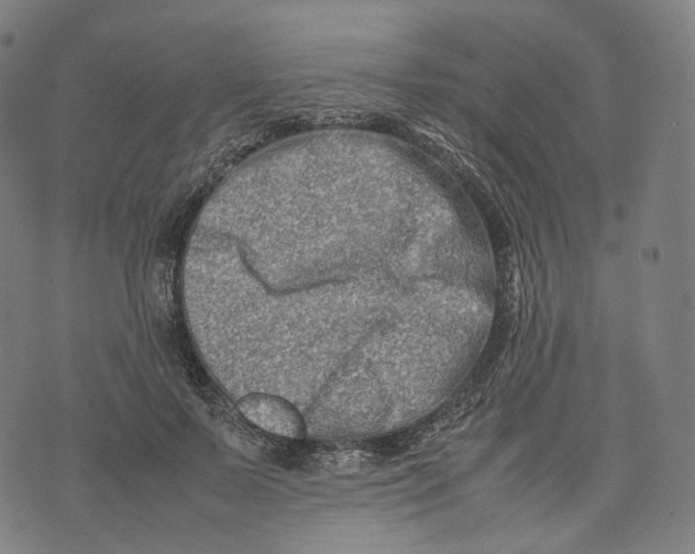 X0000074210695200609151556