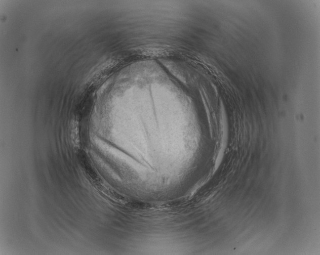 X0000074210696200609151556