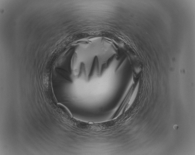 X0000074210697200609151556