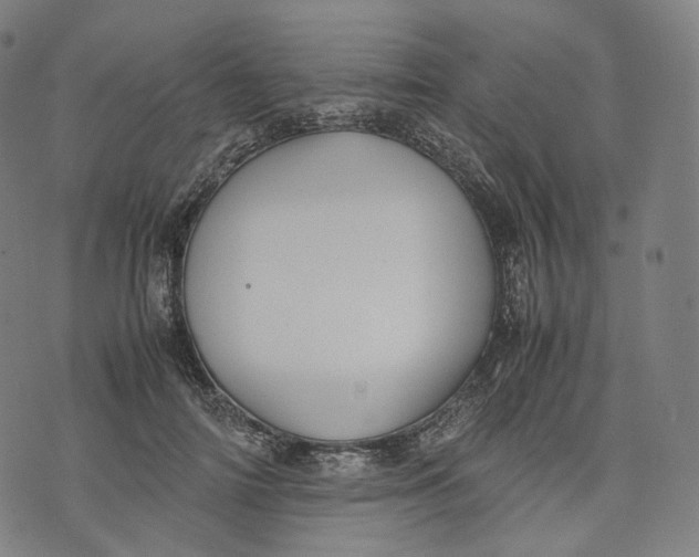 X0000074210698200609151556