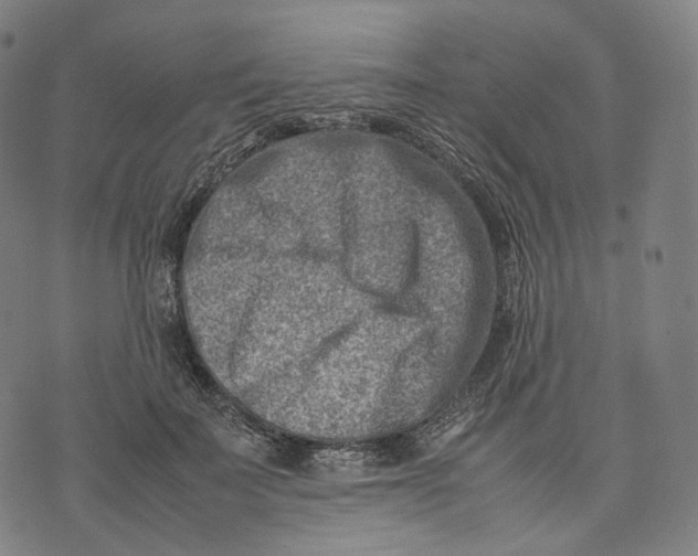 X0000074210699200609151556