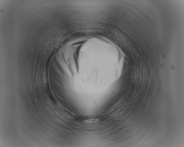 X0000074210700200609151556