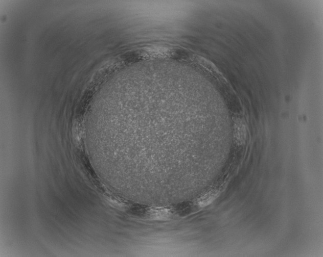 X0000074210701200609151556