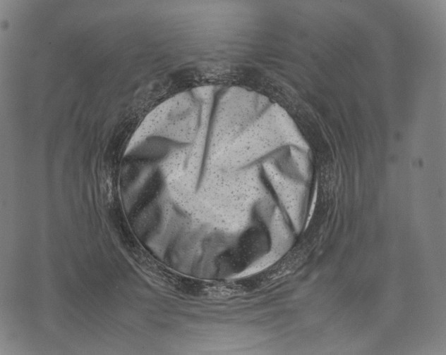 X0000074210703200609151556