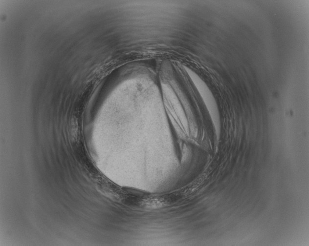 X0000074210704200609151556