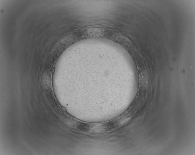 X0000074210705200609151556