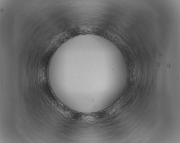 X0000074210706200609151556