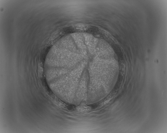 X0000074210707200609151556