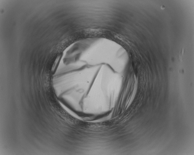 X0000074210708200609151556