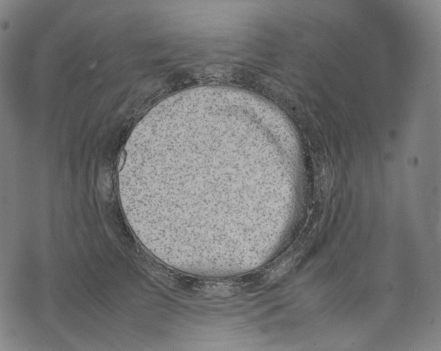 X0000074210709200609151556