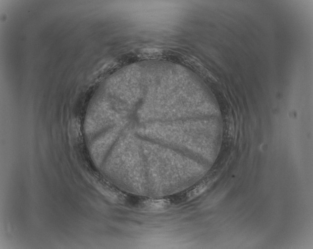 X0000074210711200609151556