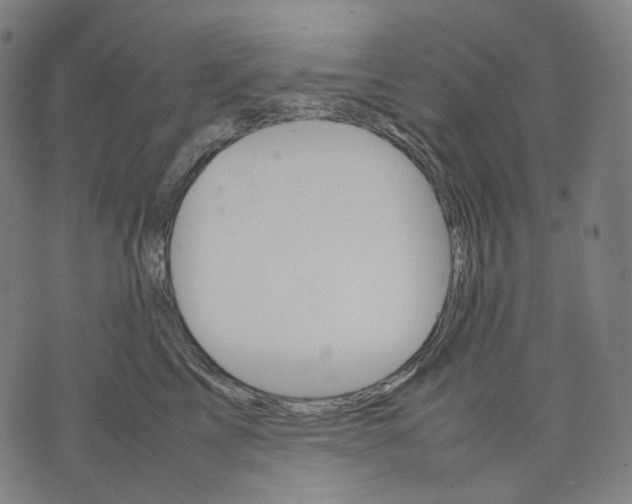 X0000074210713200609151556