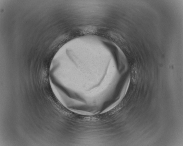 X0000074210714200609151556