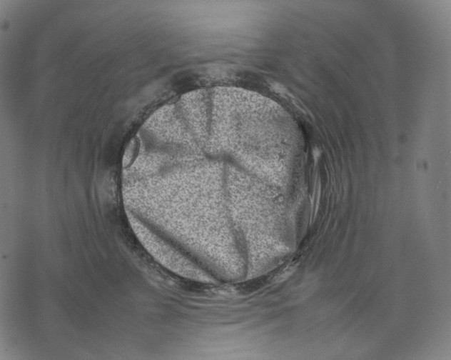 X0000074210715200609151556