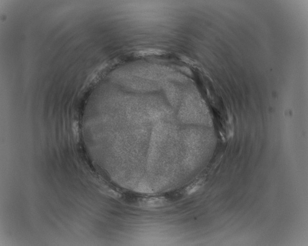 X0000074210716200609151556