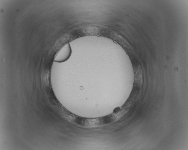 X0000074210717200609151556