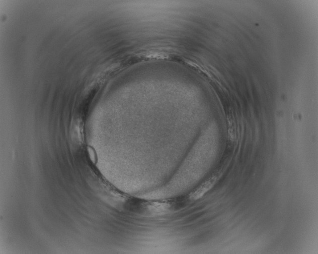 X0000074210718200609151556