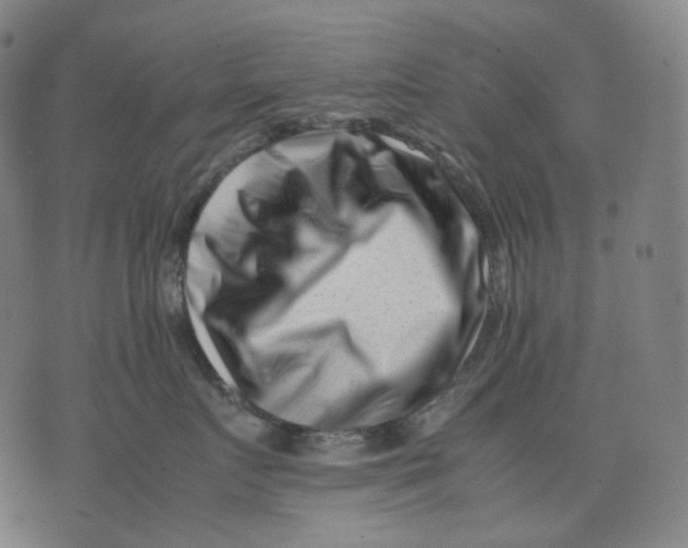 X0000074210719200609151556