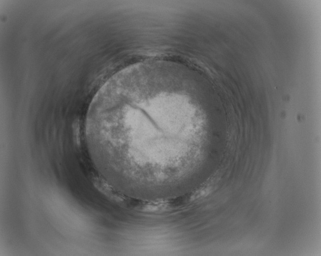 X0000074210720200609151556