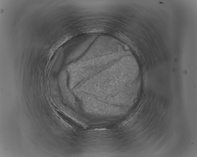 X0000074210721200609151555