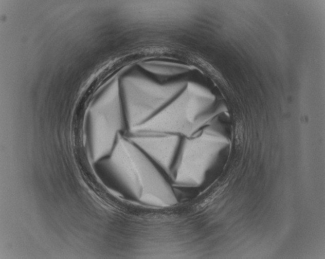 X0000074210722200609151555