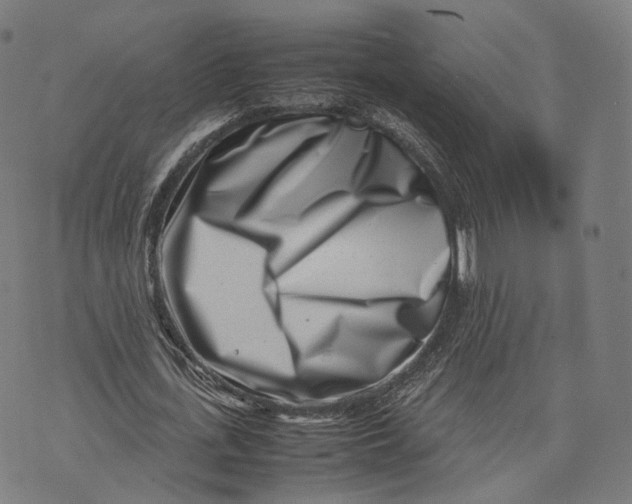 X0000074210723200609151555