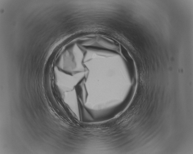 X0000074210724200609151555