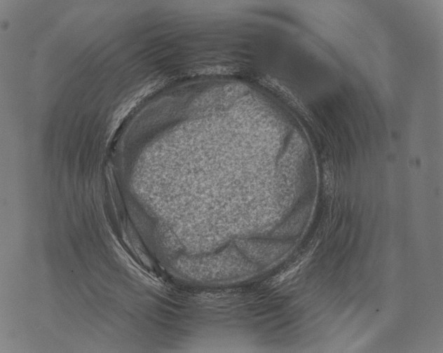 X0000074210725200609151555