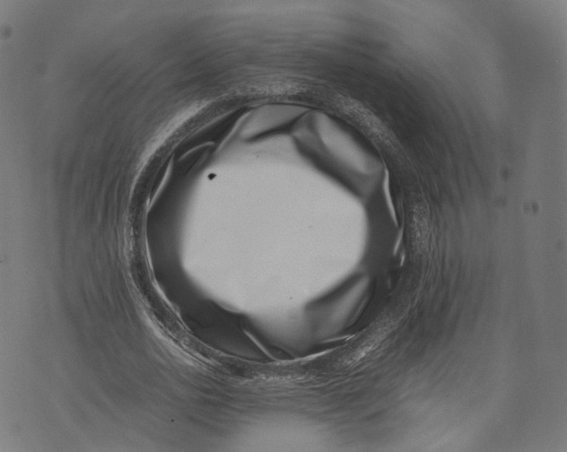 X0000074210726200609151555