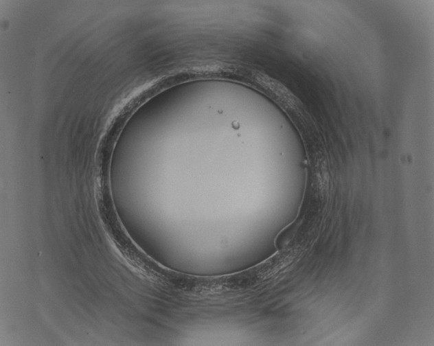 X0000074210728200609151555