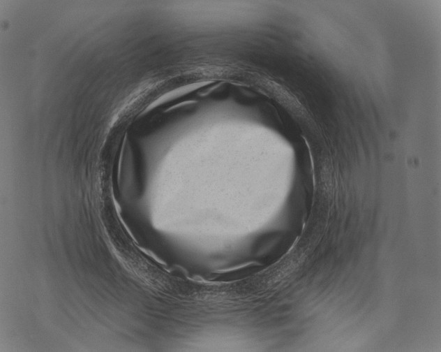 X0000074210730200609151555