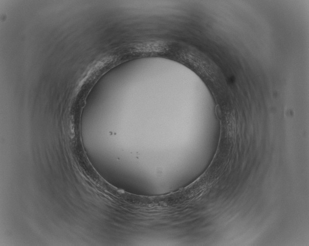 X0000074210731200609151555