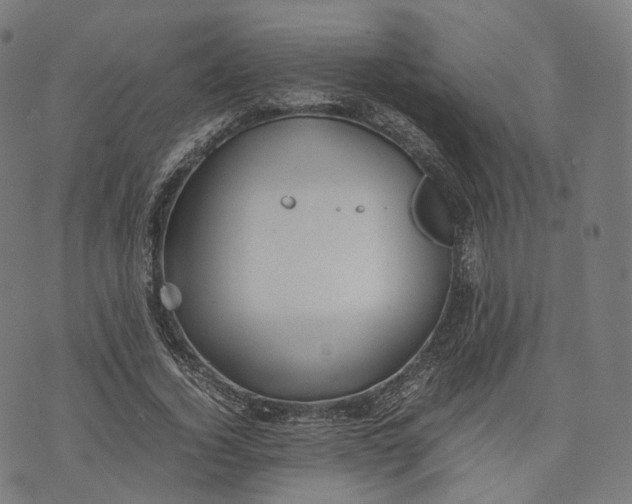 X0000074210732200609151555