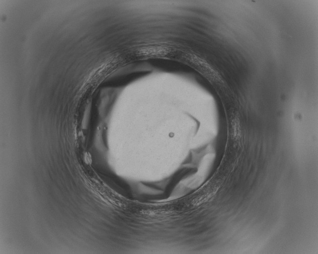 X0000074210733200609151555