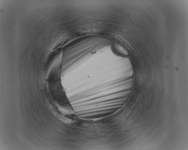 X0000074210735200609151555