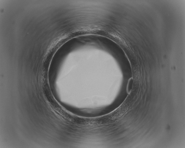 X0000074210736200609151555