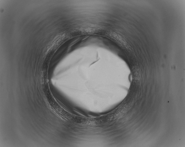 X0000074210738200609151555