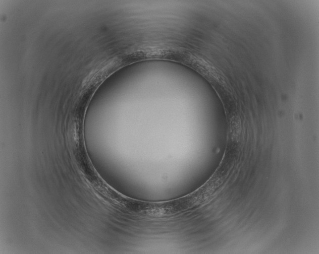 X0000074210740200609151556