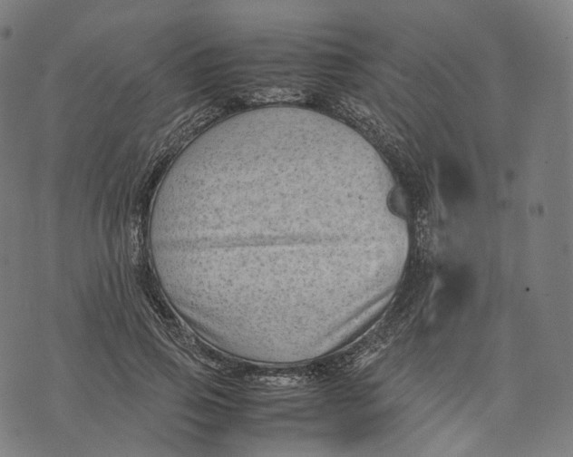 X0000074210741200609151556