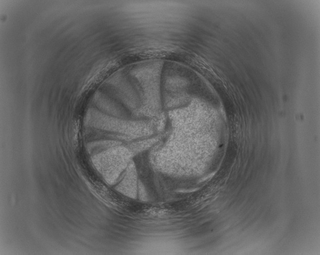 X0000074210742200609151556