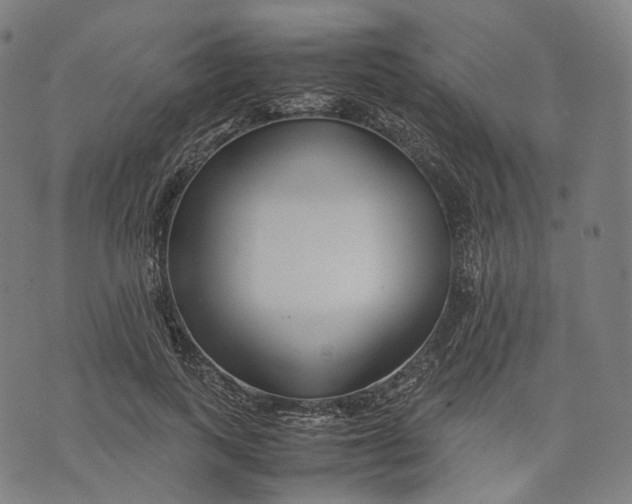 X0000074210743200609151556