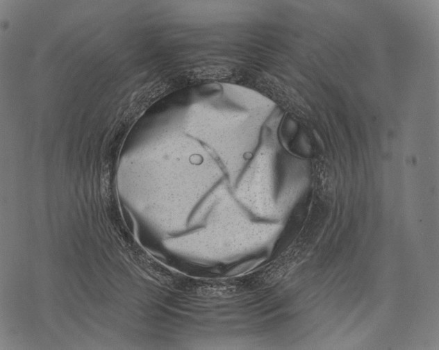 X0000074210745200609151556