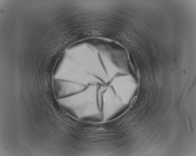 X0000074210747200609151556