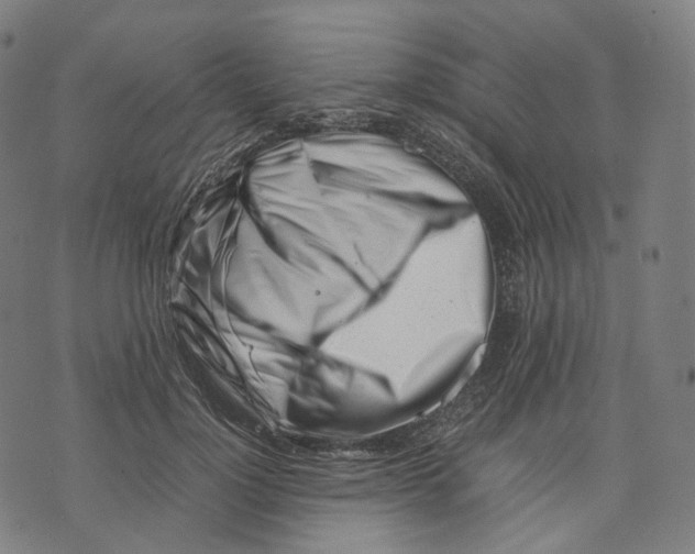 X0000074210748200609151556